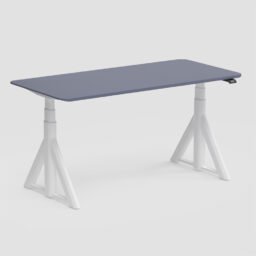 Electric Standing Desk